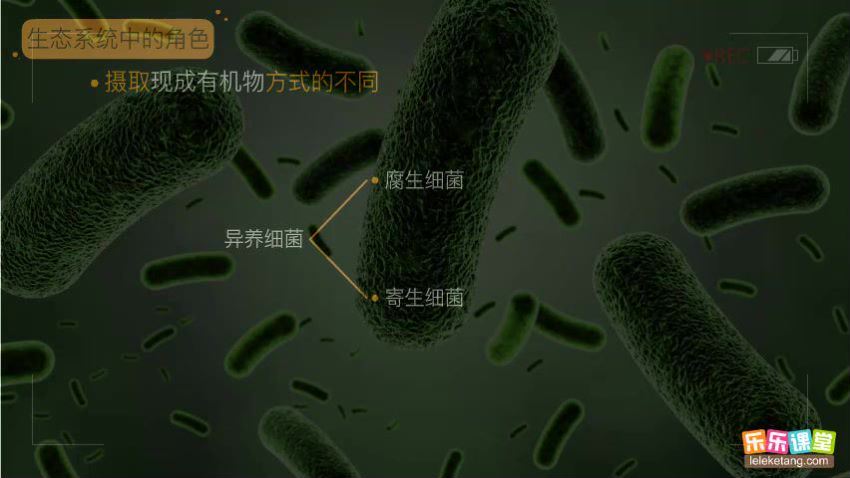 细菌、真菌、病毒及与人类的关系 百度网盘(286.05M)